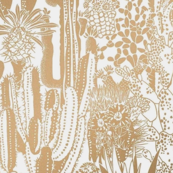 Accessories - FREE GIFT🌿